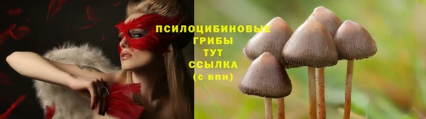 дурь Заволжск