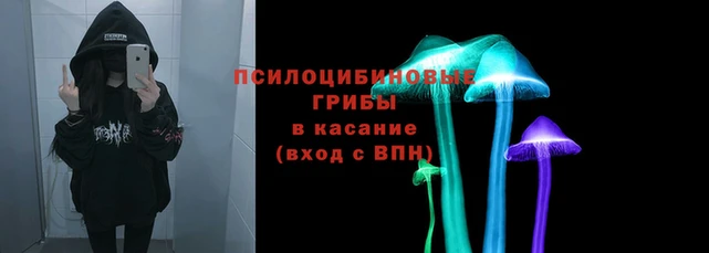 кокаин колумбия Заводоуковск
