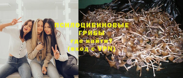 a pvp Заволжье