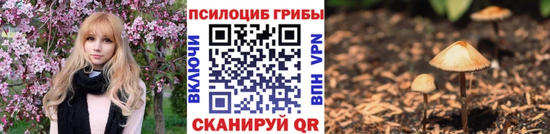 Псилоцибиновые грибы прущие грибы  Купить где  Зверево 